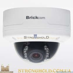 Уличная купольная мегапиксельная IP-камера Brickcom VD-100Ae