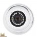 Відеокамера AHD купольна Tecsar AHDD-20F2M-out 2,8 mm